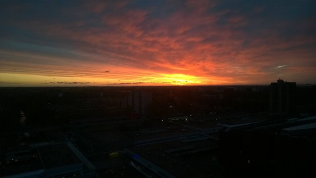 I took these pictures out of my window