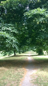 Parks in Amsterdam